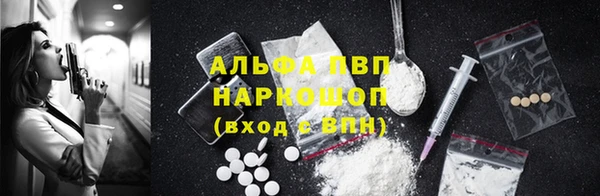крисы Вязьма