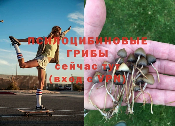 крисы Вязьма