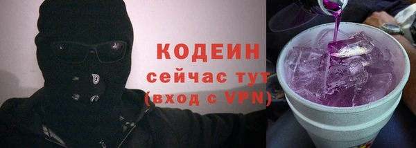 крисы Вязьма