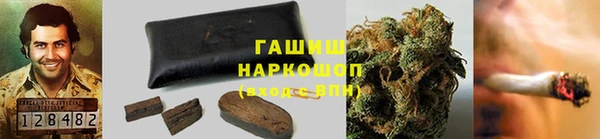 крисы Вязьма