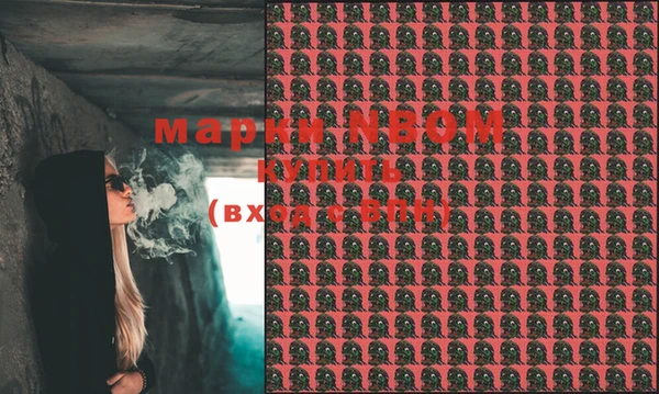 крисы Вязьма