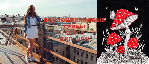 крисы Вязьма
