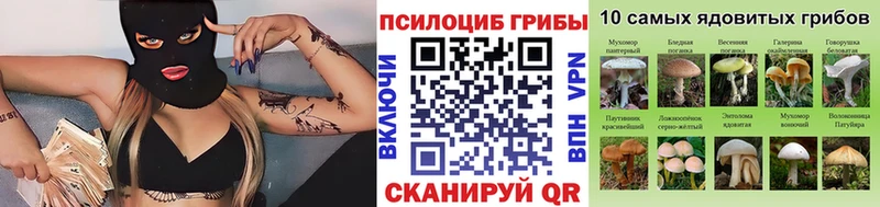 дарк нет официальный сайт  Мурманск  Галлюциногенные грибы MAGIC MUSHROOMS 